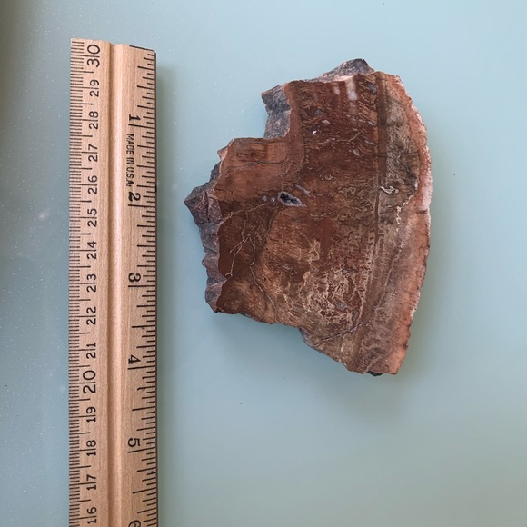 Polished Petrified Wood Slab - Picture 4 of 5